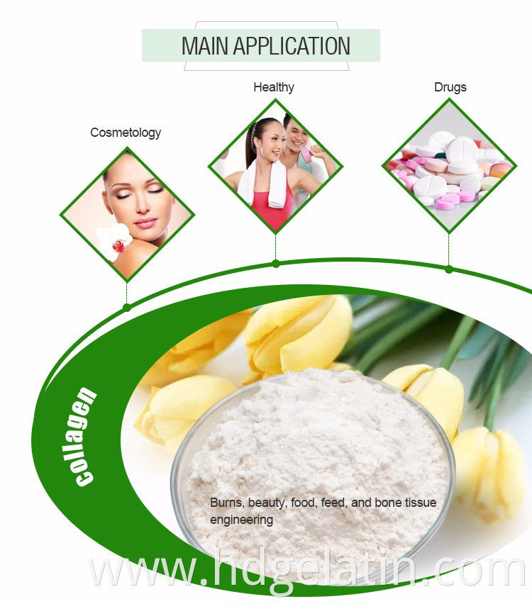 Natural high quality hydrolysed collagen protein peptide powder